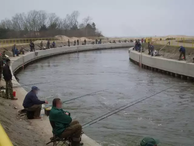 W weekend przy Kanale Jamneńskim wędkowało kilkadziesiąt osób. 