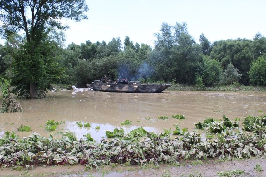 Żołnierze 3. Batalionu Inżynieryjnego z Niska pomagają usuwać skutki powodzi i nawałmnic w regionie (ZDJĘCIA)