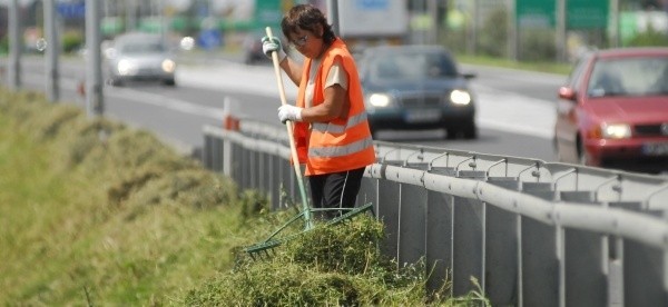 - To zielsko jest twarde i sztywne. Nie umiemy sobie z nim poradzić - mówią pracownicy firmy Zaks.