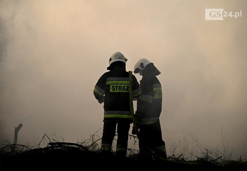 Pożar składowiska gałęzi w Trzeszczynie pod Policami. Na miejscu 9 zastępów straży pożarnej oraz samolot gaśniczy ZDJĘCIA
