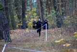 Rolkarze nie są przewidziani. Czytelnicy mają zastrzeżenia do ścieżek w lasku przy ulicy Bema i do zakresu  prac w Parku Tysiąclecia