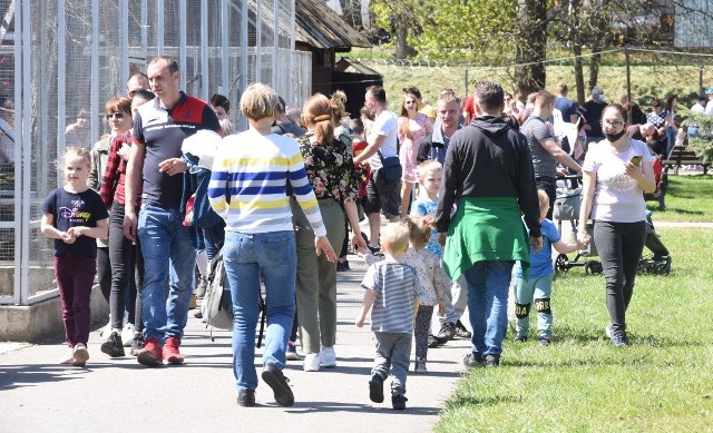 Park Krasnala przeżywał istne oblężenie.