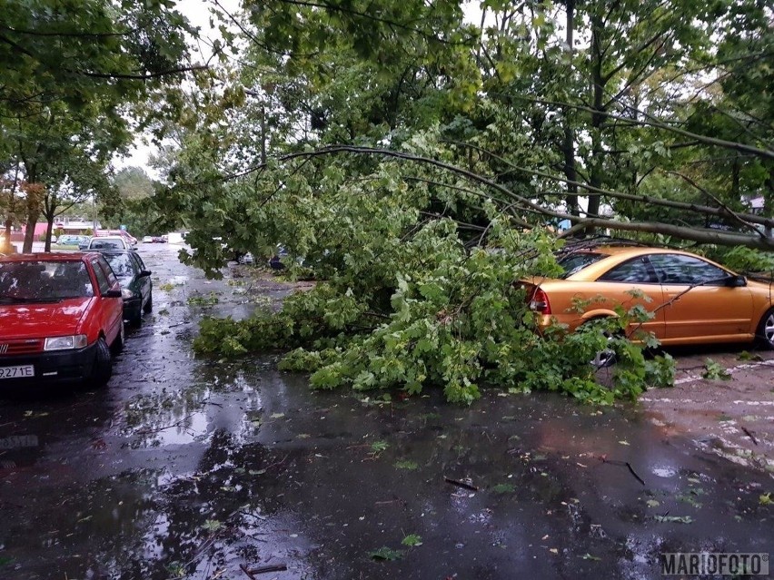 Straż pożarna od godz. 4.45 do godz 7.00 interweniowała...