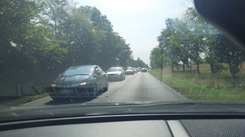 Korki na drodze do Mielna.