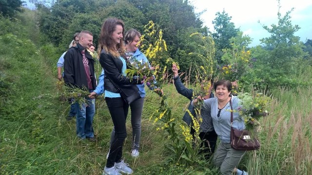 Zbieranie ziół było dla uczestników dużą atrakcją