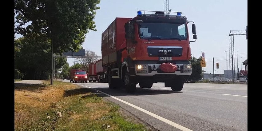 Polscy strażacy dotarli już do miejscowości Sveg. Z...