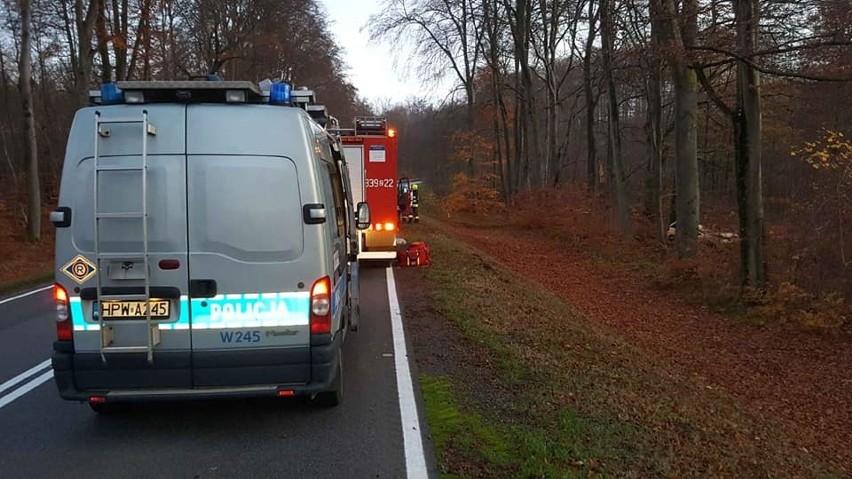 W poniedziałek chwilę po godzinie 17, na drodze krajowej nr...