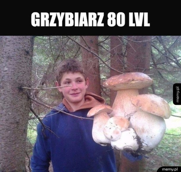 MEMY o grzybiarzach! Grzybobranie na wesoło.