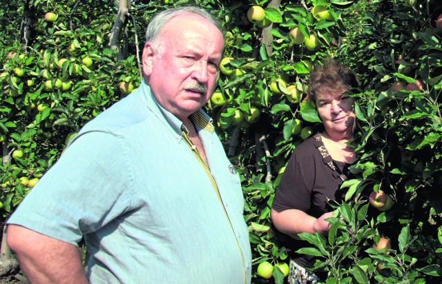 Renata i Mieczysław Ziętkowie myśleli nawet,czy nie zlikwidować sadu, który prowadzą od lat
