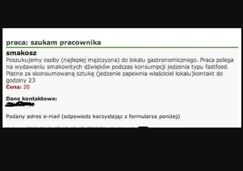 Oto niecodzienne ogłoszenia o pracę. Trochę inne niż standardowe. Zobaczcie sami na zaprezentowanych w galerii ZDJĘCIACH 10.06.2023