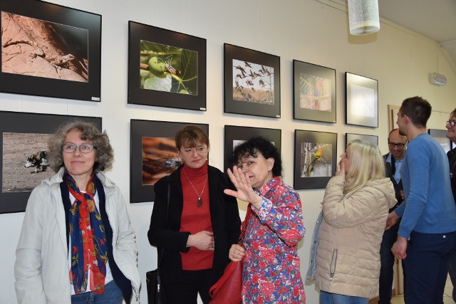 W holu Rejonowej Biblioteki Publicznej w Szubinie czynna jest  wystawa fotografii pt. „Te co skaczą i fruwają”. Inspiracją wiosennej ekspozycji  - zwierzęta.Autorami prac  są twórcy z szubińskiego  Klubu Miłośników Fotografii „Flesz”: Dorota Magdziarz, Małgorzata Staszak, Iwona Dudek,  Alicja Horbatiuk, Kamila Niedźwiecka, Mirosław Rzeszowski, Tadeusz Drobiński,  Andrzej Wrona,  Krzysztof Suszek oraz debiutujący w klubie „Flesz” Damian Ziółkowski. Podczas  wernisażu tej wystawy Mirosław Rzeszowski, dyrektor biblioteki i współzałożyciel „Flesza”,  zaprosił gości  także na piętro książnicy,  na finisaż wystawy fotograficznej  Małgorzaty Staszak.  Obecnie w galerii na piętrze prezentowane jest  "Młode malarstwo". Autorkami prezentowanych prac Emilia Łydka z Sipior i Paulina Krzemińska z Szubina.