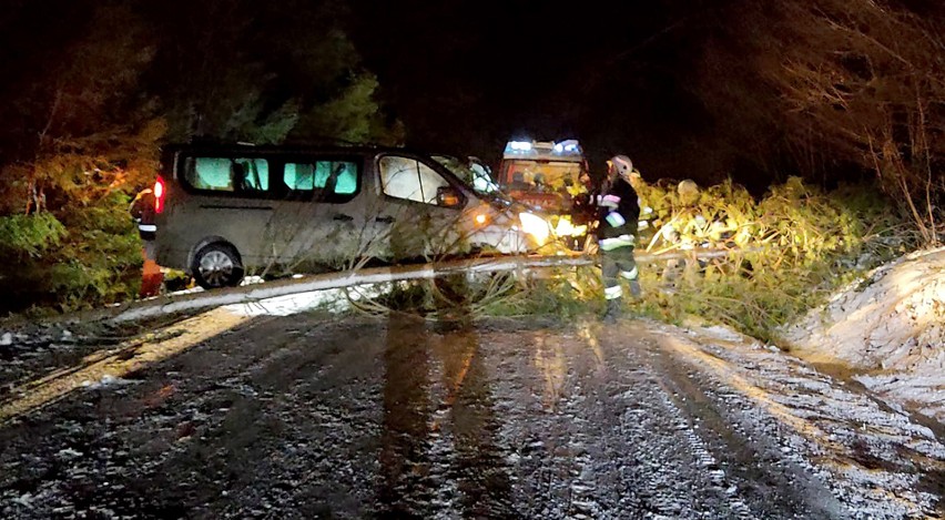 W Janczowej drzewo runęło na drogę. Kierowca busa nie zdołał zahamować