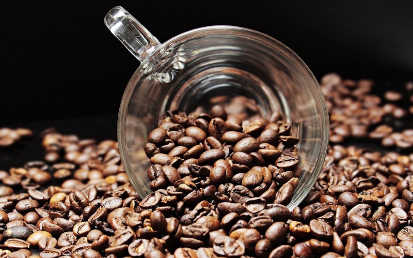 Kofeina spożywana w umiarkowanych ilościach może chronić...