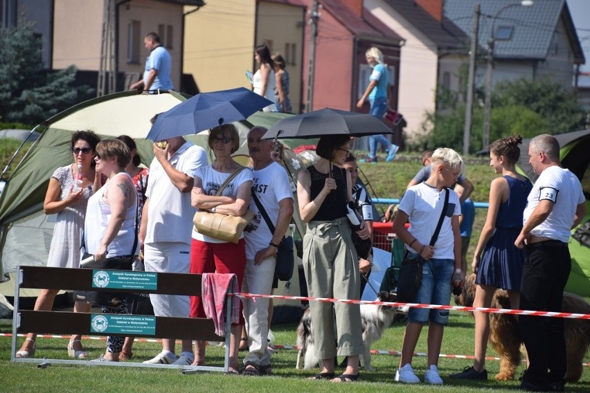 Wystawa Psów Rasowych w Wasilkowie 2017