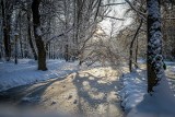 Czy możemy liczyć na białe święta? Sprawdź pogodę w lubelskiem