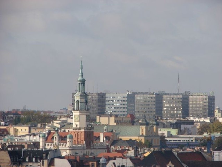 W Katedrze Poznańskiej może powstać wieża widokowa