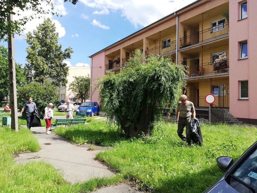 W Starachowicach trwa akcja „Posprzątajmy nasze podwórko”. Sprzątają młodzi i seniorzy. (ZDJĘCIA)