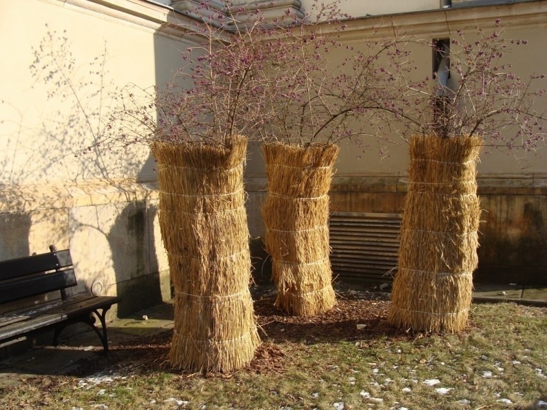 Słoniane i trzcinowe maty przydają się do zabezpieczenia...