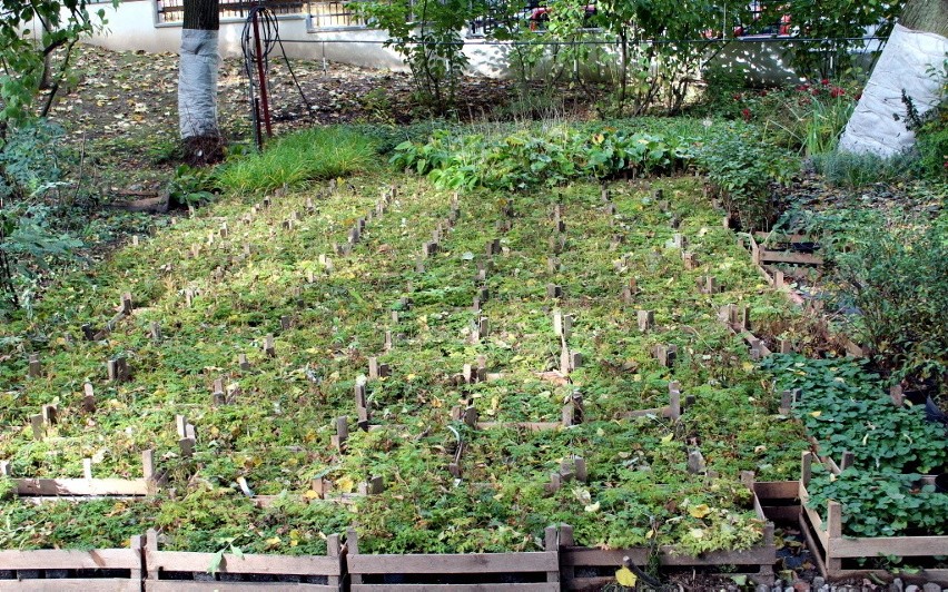 Ogród Saski miesiąc przed otwarciem