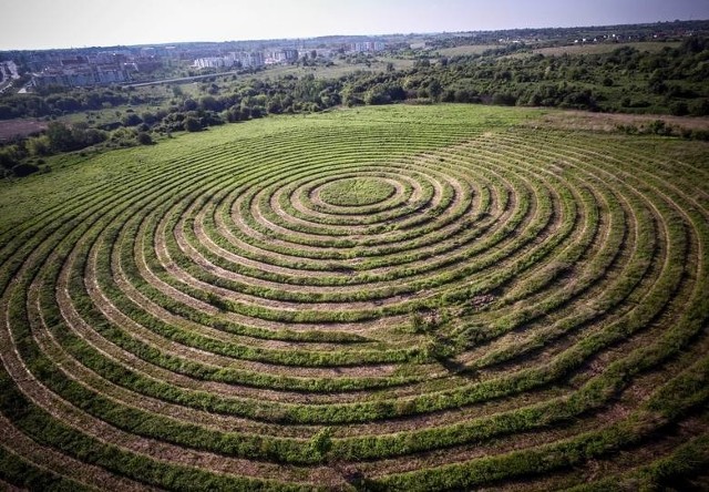 Land art wykonany przez Jarosława Koziarę na górkach czechowskich