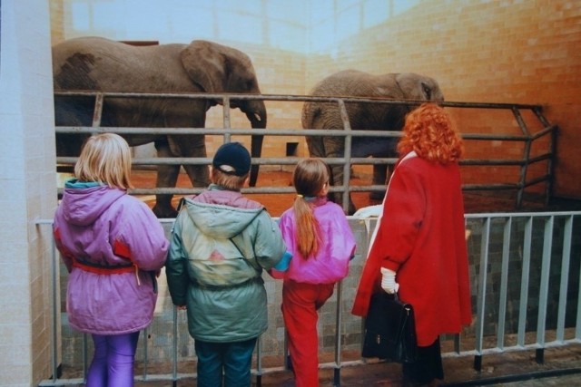 Śląski Ogród Zoologiczny w Chorzowie