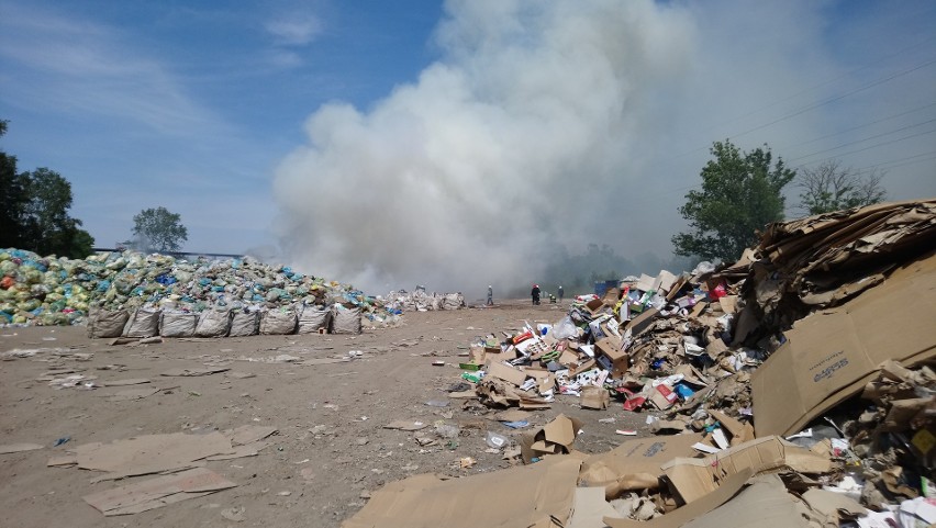 Policja na tropie przyczyn pożaru składowiska w Tarnowie