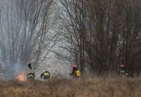 Al. Jana Pawła II. Wielki pożar łąk. Strażakom udało się opanować żywioł (zdjęcia, wideo)