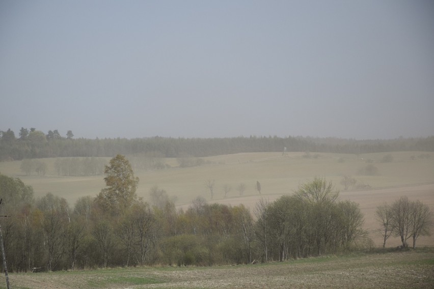 W Miastku i okolicy mocno wieje