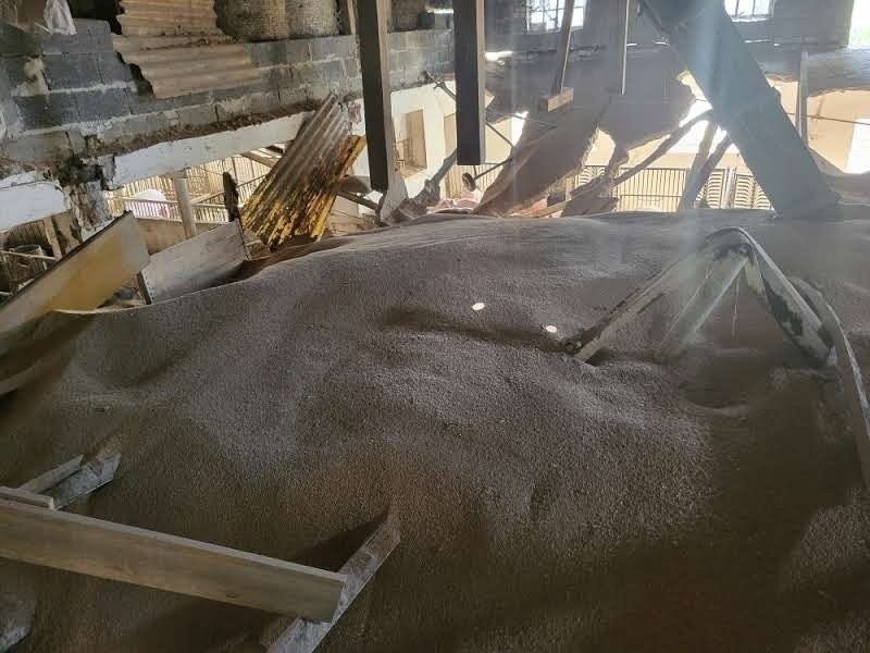 Katastrofa budowlana we Wrzącej pod Sieradzem. Zawalił się strop. 150 świń zostało przygniecionych przez gruz i zboże ZDJĘCIA