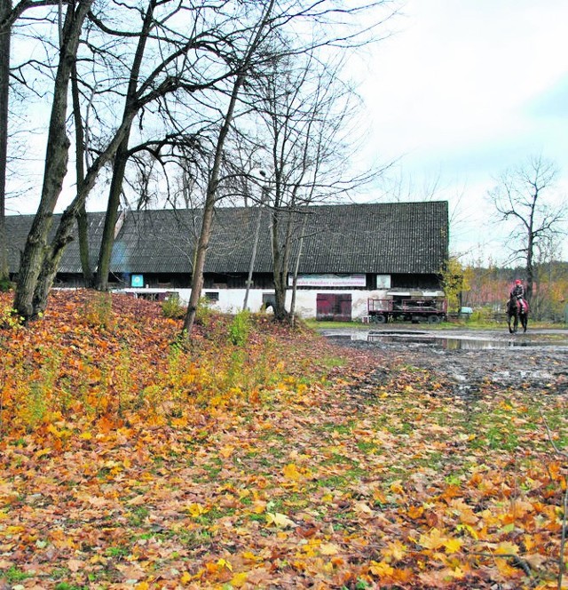Tu w Ignatkach-Osiedlu gmina chce wybudować ośrodek sportów konnych. Są pieniądze na przygotowanie projektu.