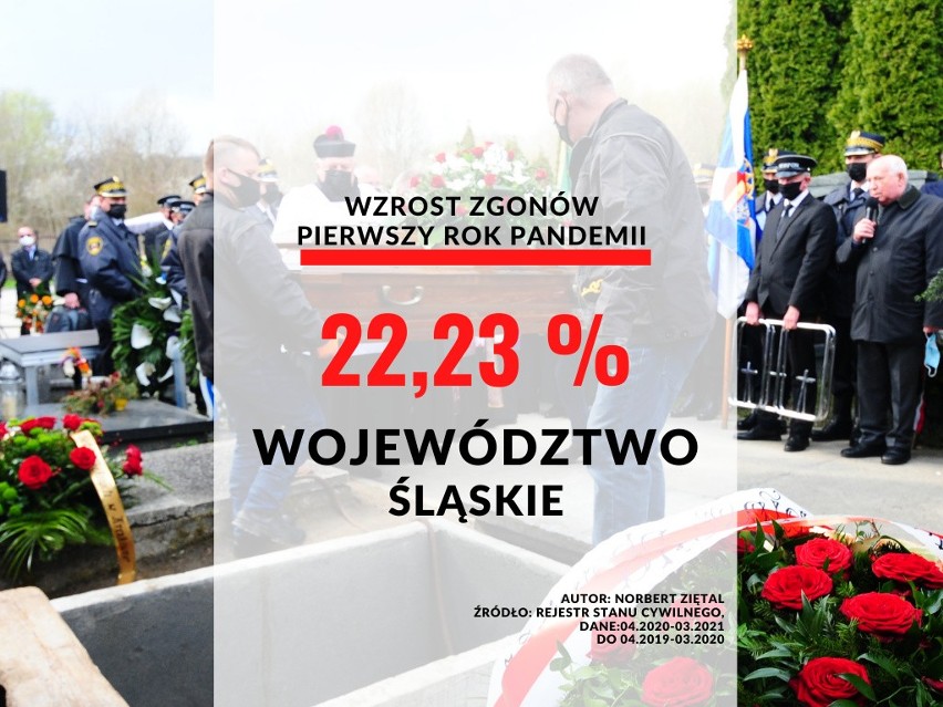 Województwo śląskie: wzrost o 22,23 proc.