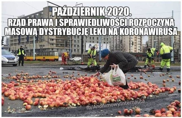 Nowe MEMY o koronawirusie. Druga fala COVID-19 w Polsce oczami internautów. Czy wirus jest w odwrocie? Jedno jabłko z wieczora Cię ochroni?