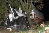 Wypadek na DK94 w Suchej. Ciężarówka uderzyła w drzewa [wideo]