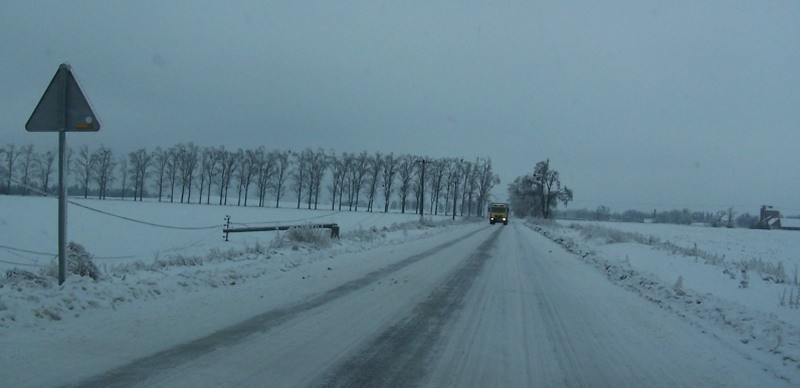 Zimowy krajobraz: na drodze szklanka, a przy drodze polamane...