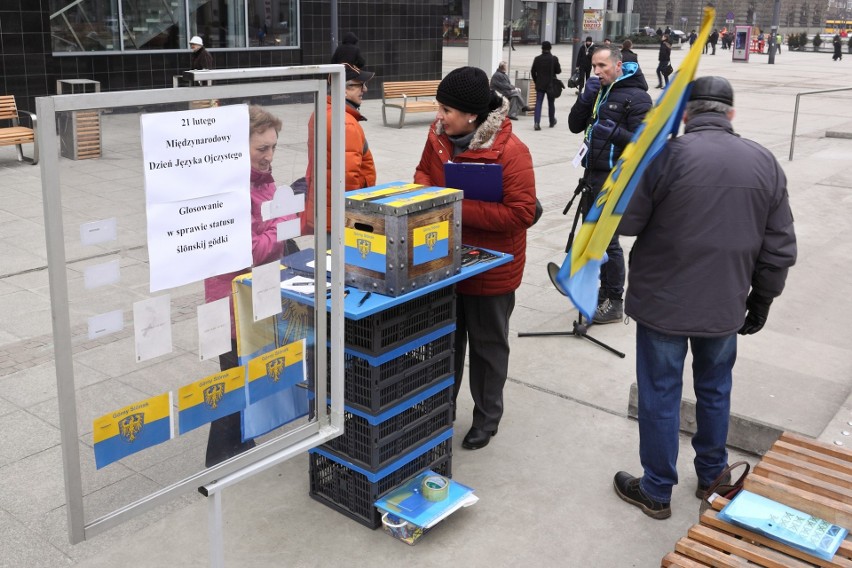 Happening w Katowicach: Śląsko Ferajna na rynku przeprowadziła głosowanie w sprawie statusu "ślōnskij gŏdki" ZDJĘCIA 