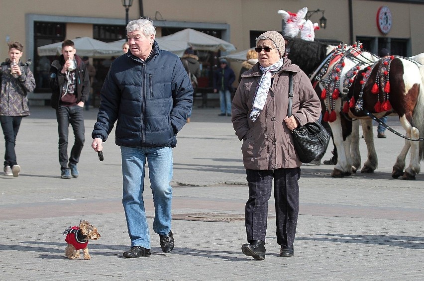 Świąteczny spacer po Rynku Głównym [ZDJĘCIA]