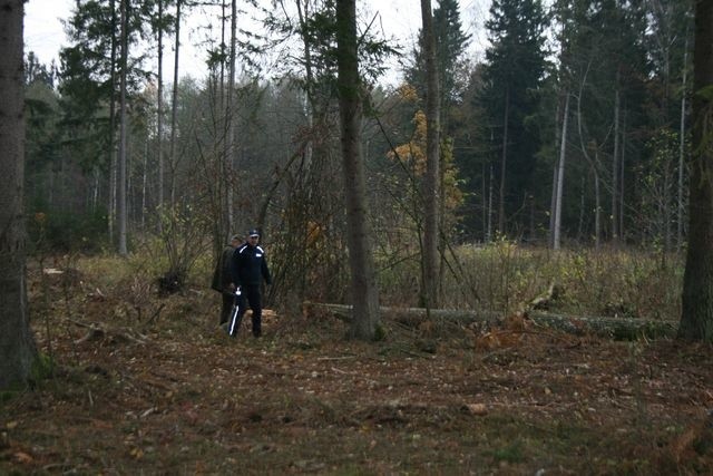 Policyjna akcja Stroisz ma ograniczyć kradzieże drewna