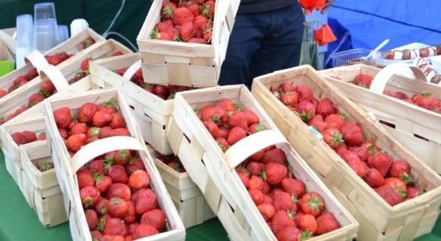 Pierwszych owoców będzie można skosztować już 16 czerwca, gdy na boisku staną przeciwko sobie drużyny Polski i Niemiec