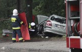 Wypadek w Jastrzębiej Górze. Nissan wylądował na drzewie [ZDJĘCIA]