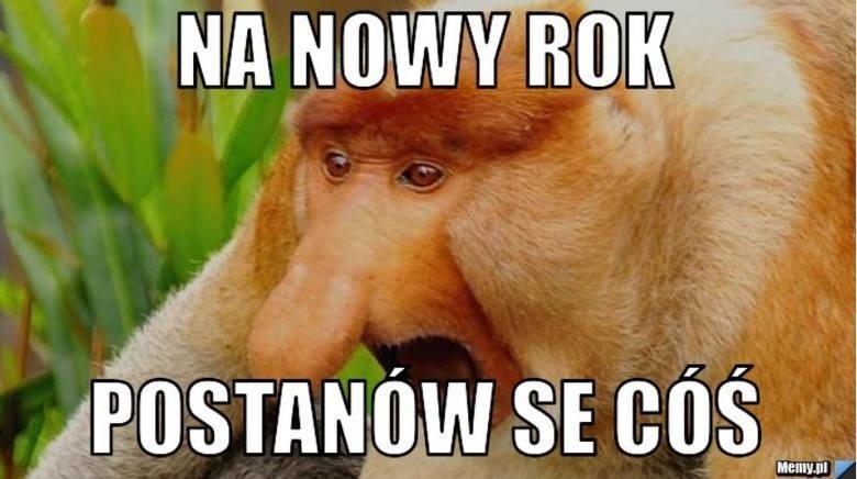 Nowy Rok, nowa ja! Memy o postanowieniach noworocznych...