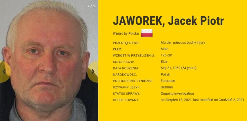 Jacek Jaworek