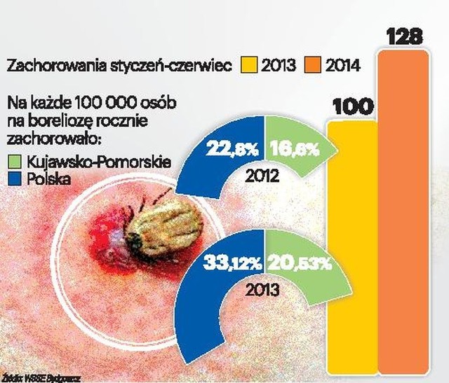 Z danych sanepidu wynika, że w ubiegłym roku najwięcej zachorowań było w powiecie bydgoskim. Następne w kolejności były powiaty: toruński, świecki i grudziądzki.