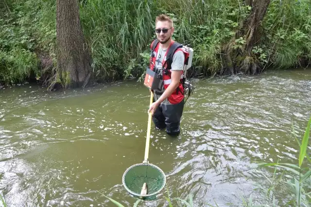 Ichtiolog Michał Bień zbadał rzekę Kamionkę. W ciągu kilku godzin udało się złowić kilkaset ryb 15 gatunków.