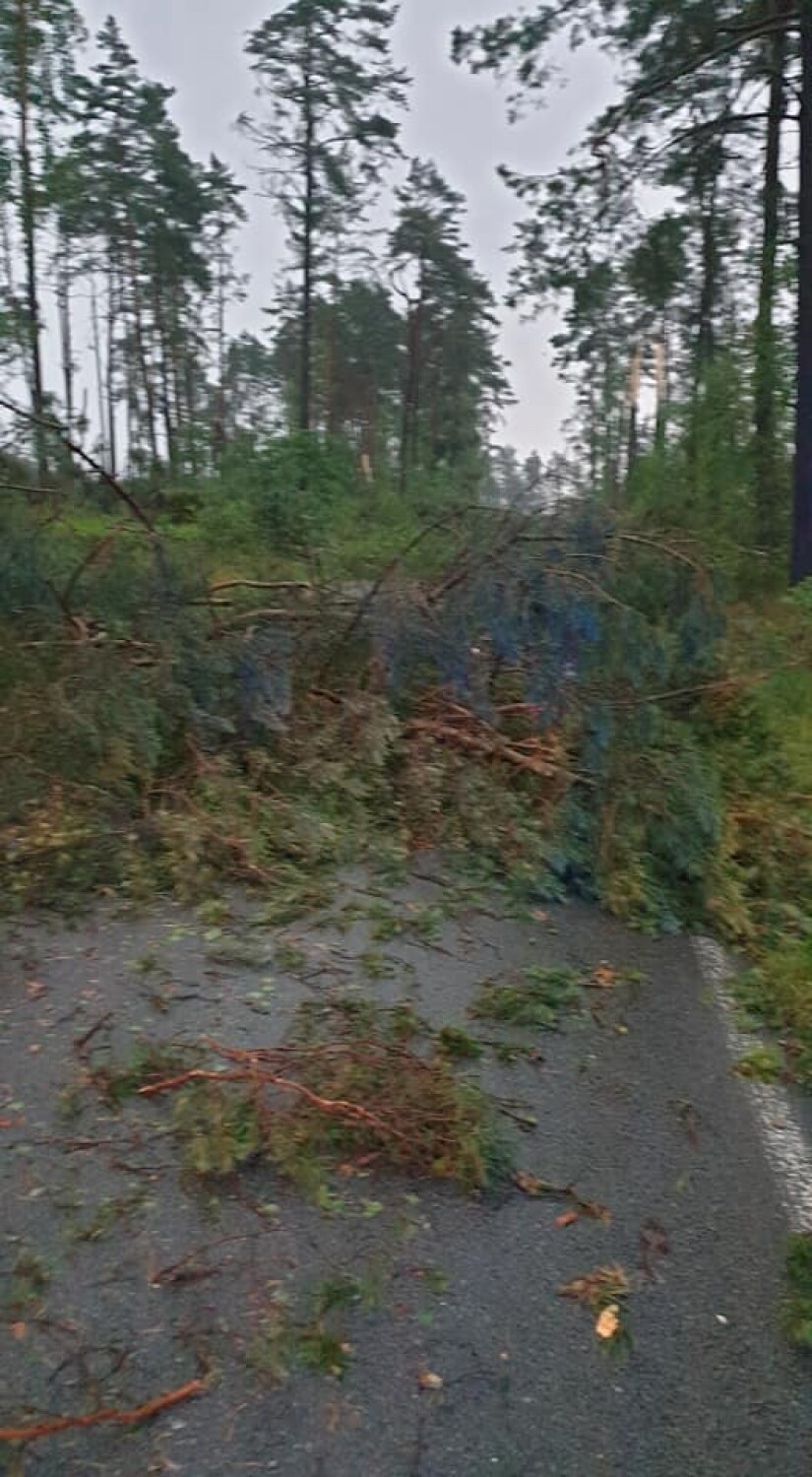 Ewakuacja obozu harcerskiego na Pomorzu! Dzięki szybkim działaniom strażaków udało się uniknąć tragedii