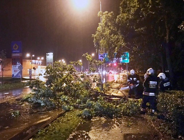 Krajobraz po burzy: Wielkopolska jeszcze nigdy nie była tak zniszczona