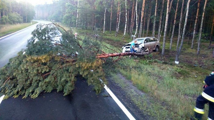 W czwartek (9 czerwca) strażacy ochotnicy z Nowogrodu...