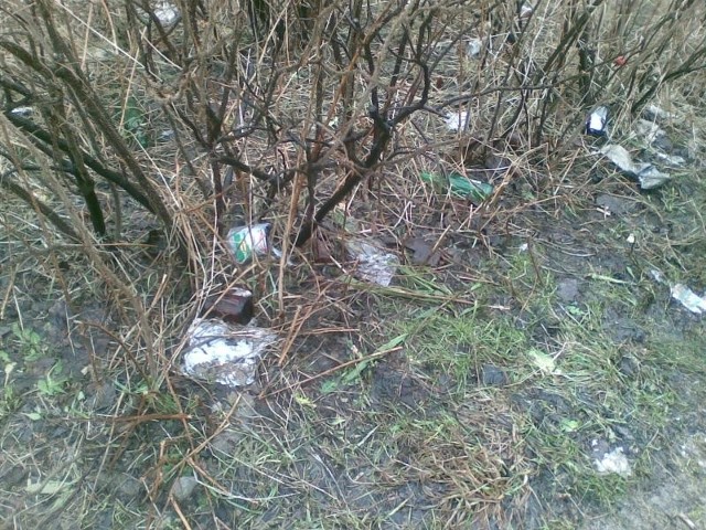 Trawniki i klomby w osiedlu Sandomierskim są pokryte papierami, butelkami i foliowymi torbami.