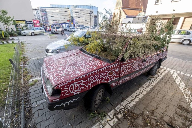 Przy ul. Piekary od lat stał stary porzucony polonez. Poznański grafficiarz Noriaki znany z rysunków tzw. Pana Peryskopa wraz ze sklepem botanicznym ro_ślinka postanowili dać mu drugie życie i wspólnymi siłami przerobili go na... wielką kolorową doniczkę. Jak Wam się podoba teraz?  Zobacz zdjęcia ----->  