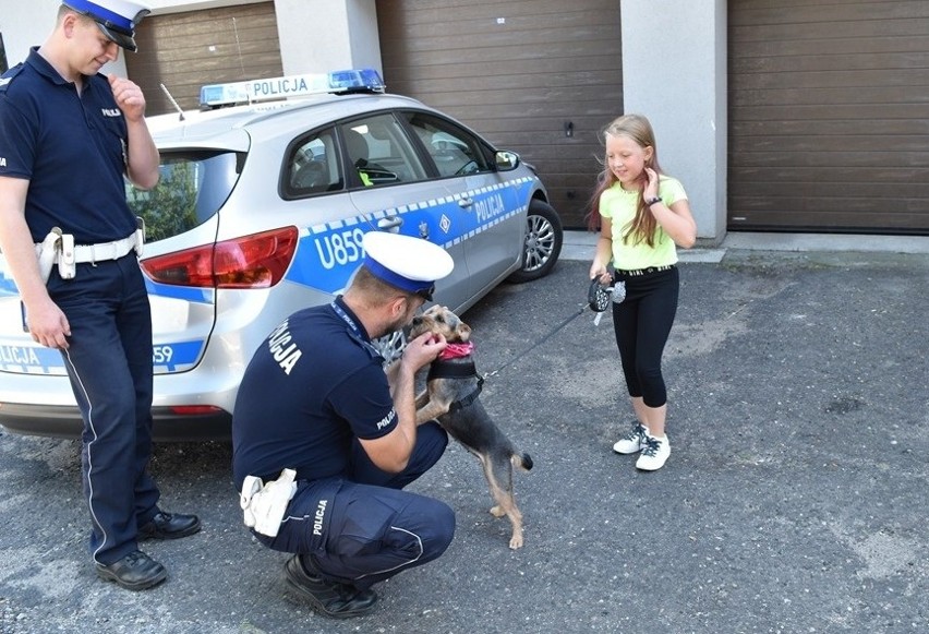 Porzucony piesek odnalazł kochający dom w policyjnej...