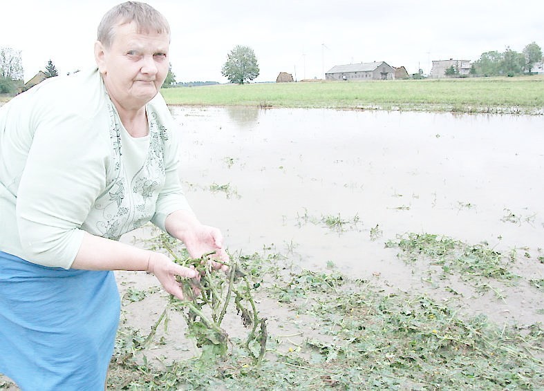 Gmina Dobrzyń nad Wisłą. Krajobraz po burzy